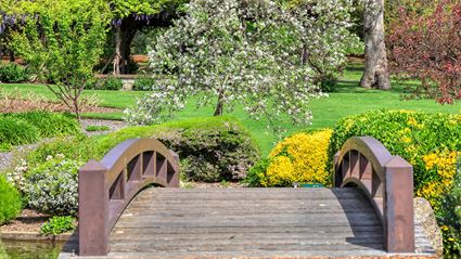 Japanese Garden - Cowra 